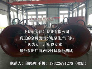 探索流體世界的隱秘力量 潛水貫流泵、全貫流閘門泵、燈泡泵與臥式全貫流泵技術解析