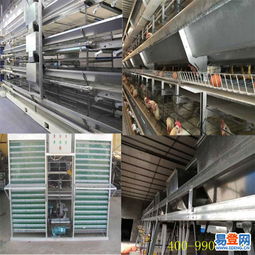 中區(qū)專業(yè)機械設(shè)備安裝服務(wù) 高效、安全、可靠